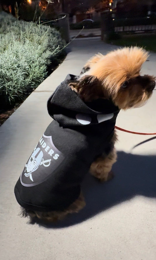 Dog Hoodie (Football)