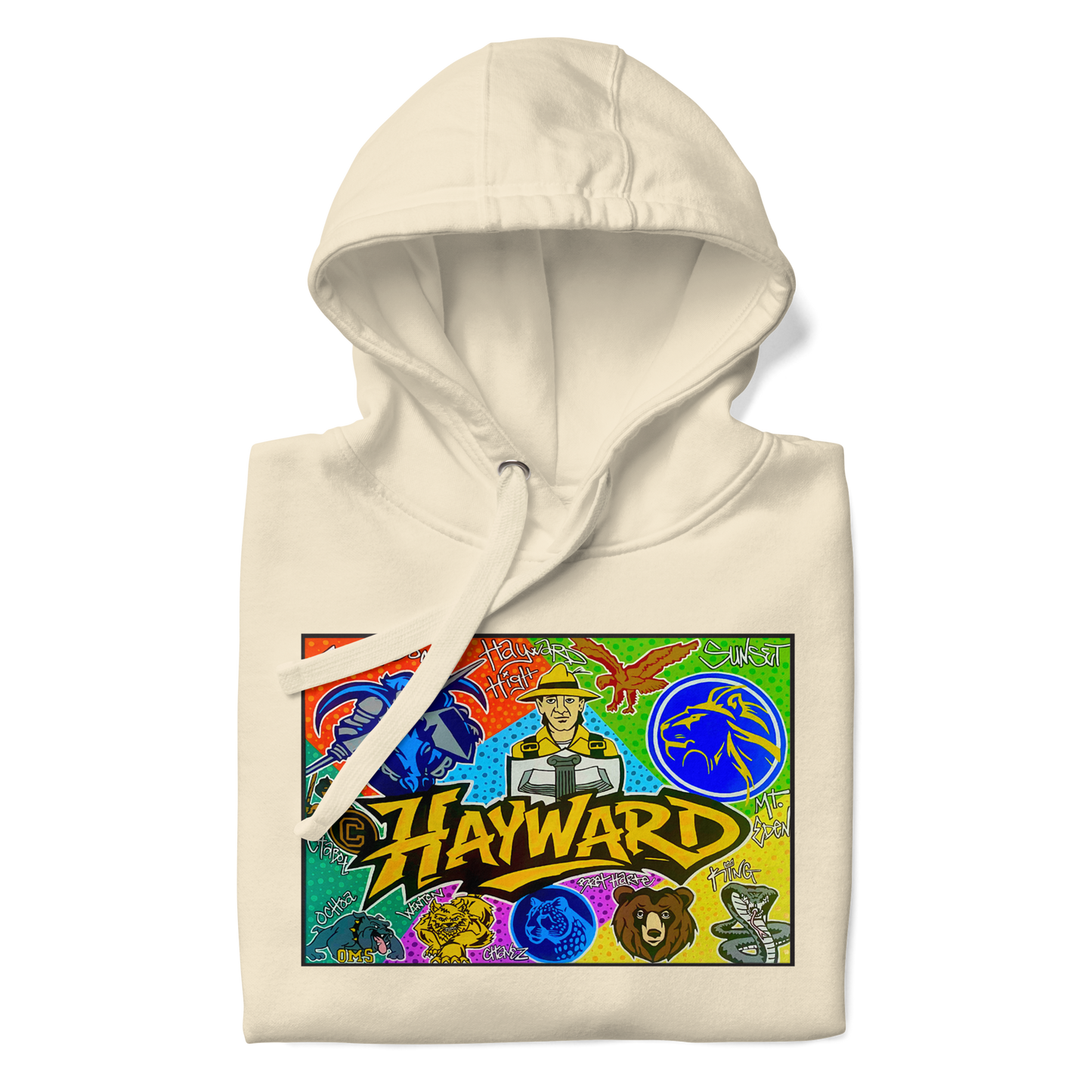 Hayward School Spirit Hoodie