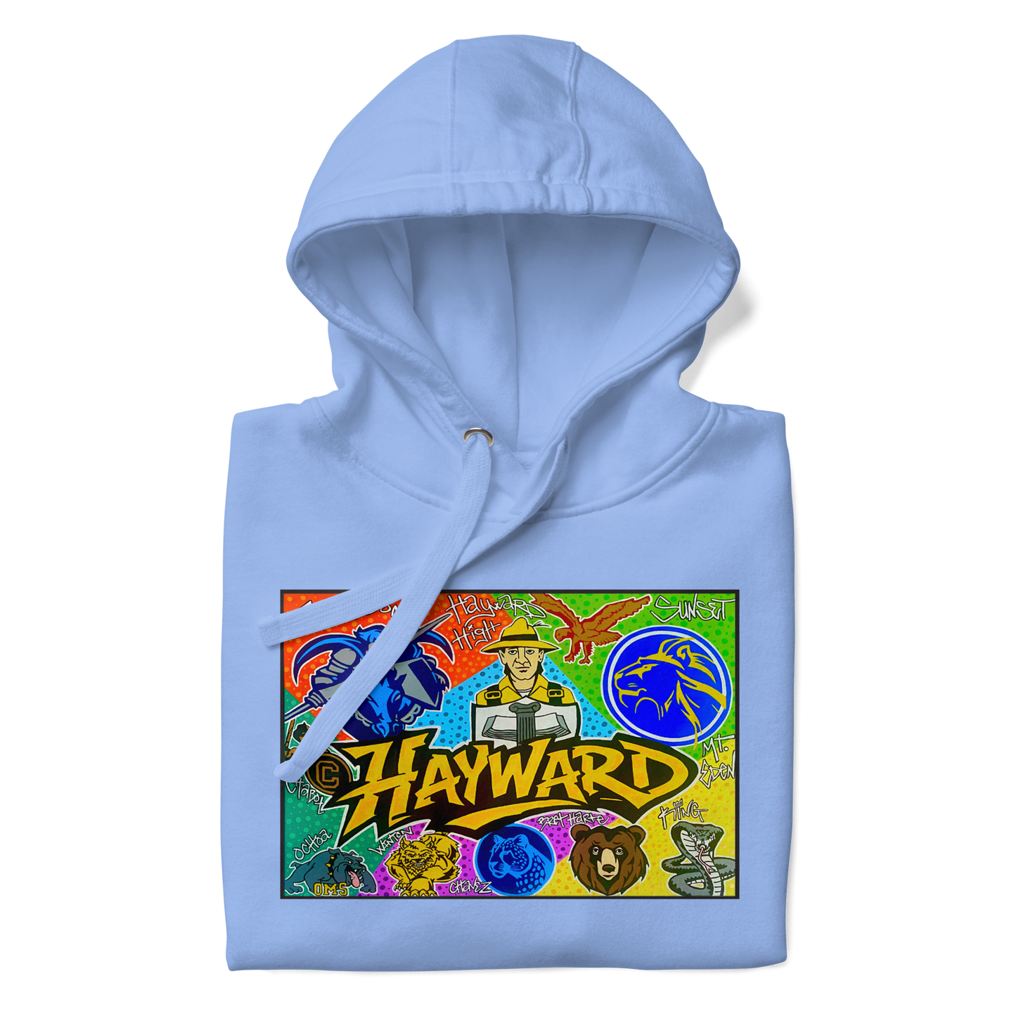 Hayward School Spirit Hoodie