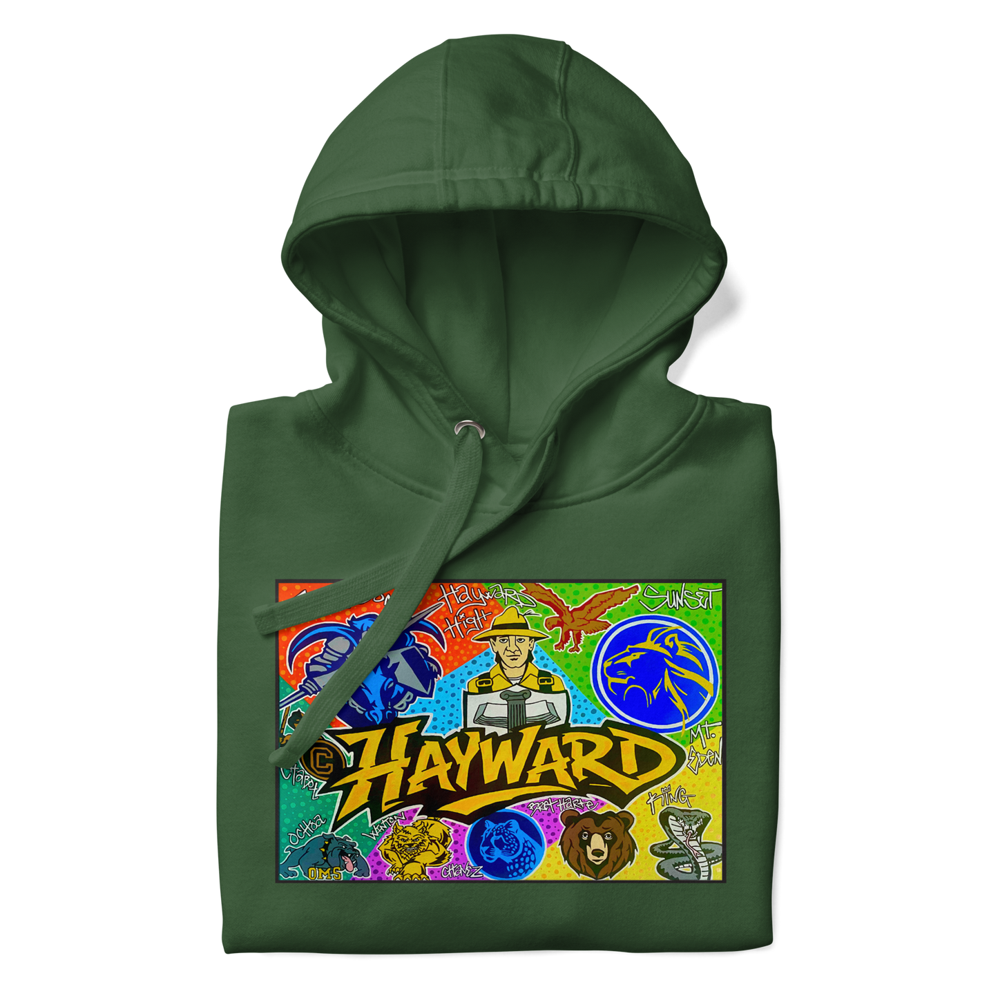 Hayward School Spirit Hoodie