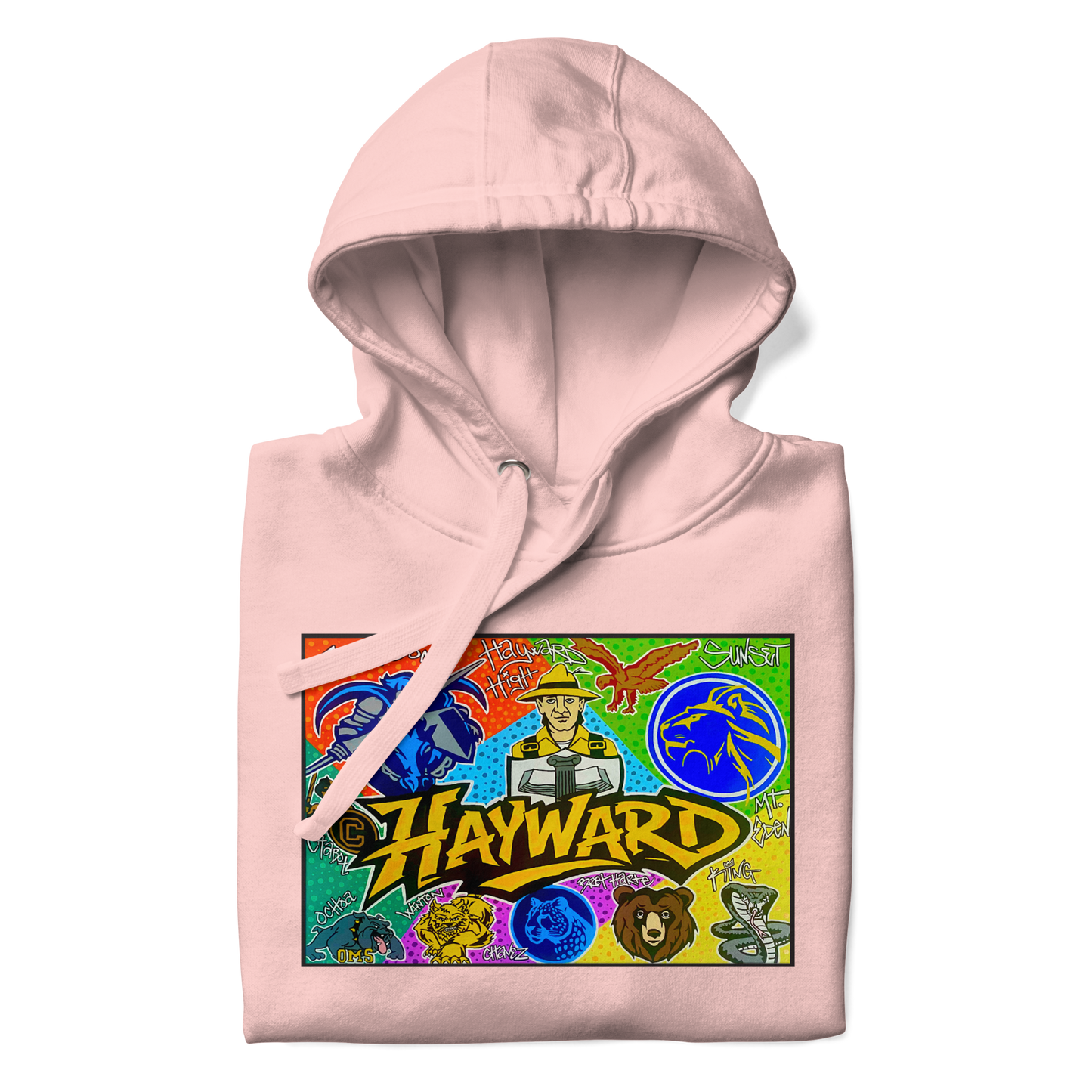 Hayward School Spirit Hoodie