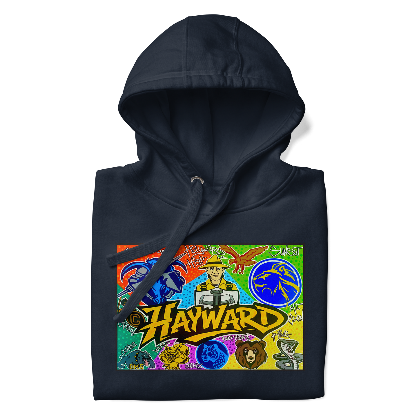 Hayward School Spirit Hoodie