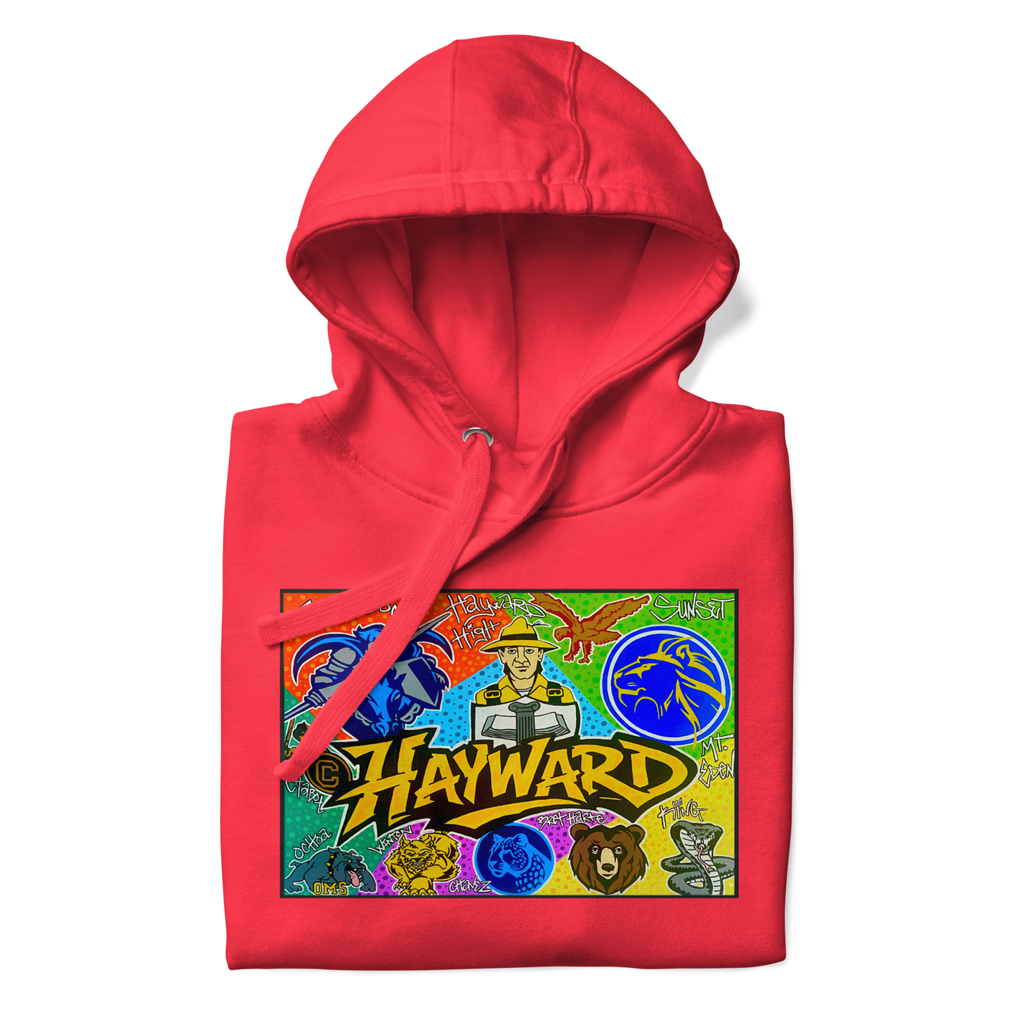 Hayward School Spirit Hoodie