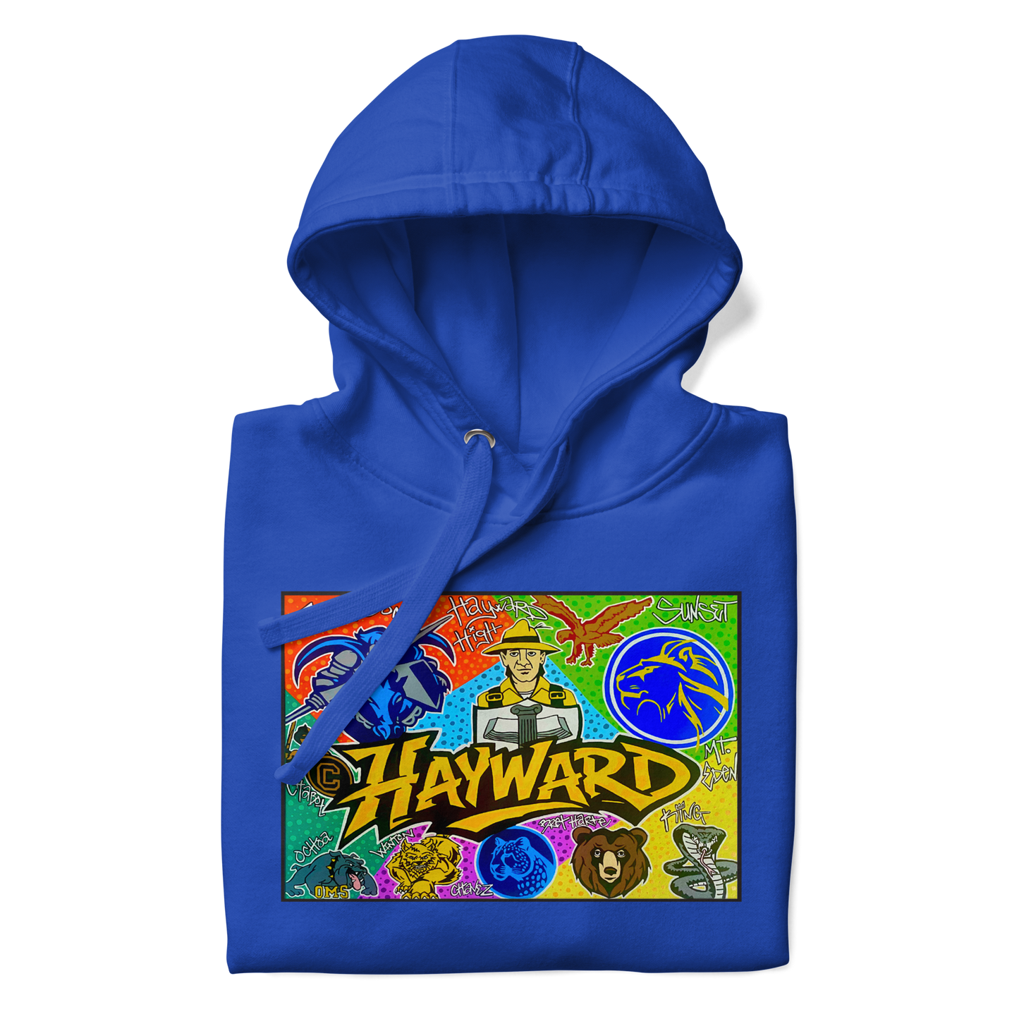 Hayward School Spirit Hoodie