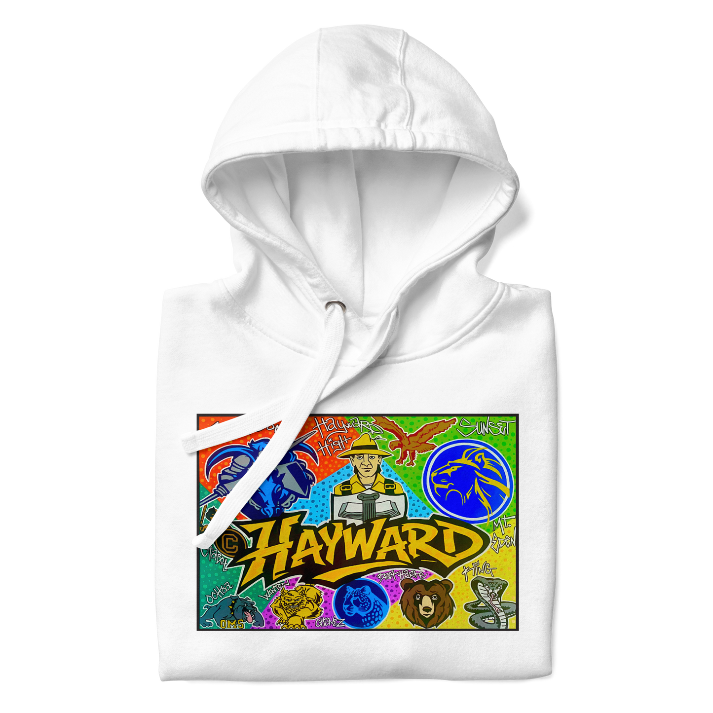 Hayward School Spirit Hoodie